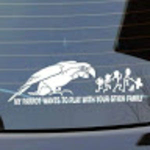 Meet your Posher, Kathleen